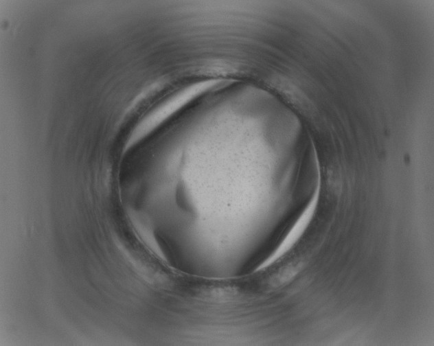 X0000067900304200604271859