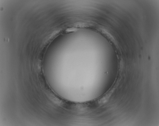 X0000067900305200604271859