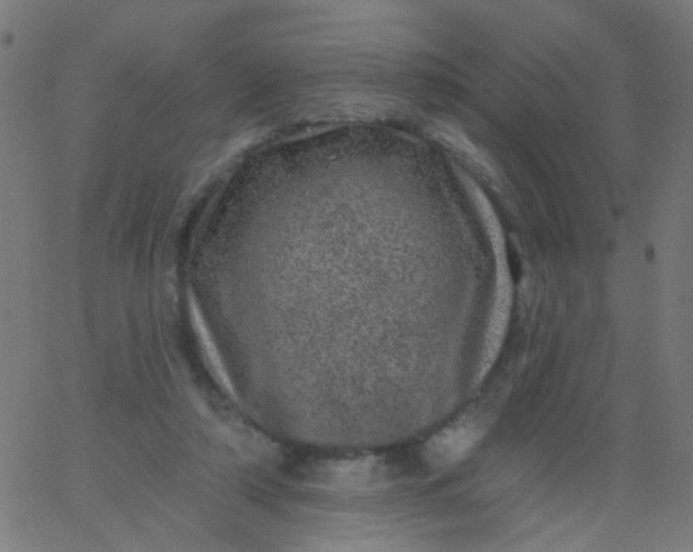 X0000067900306200604271859