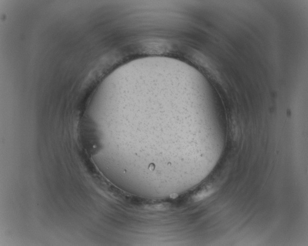 X0000067900307200604271859