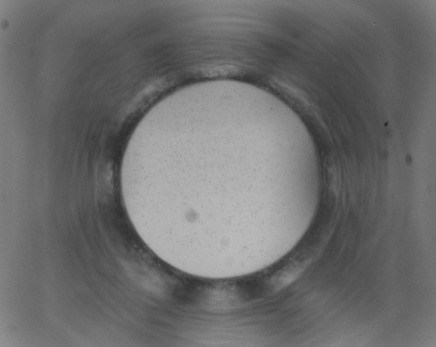 X0000067900308200604271859