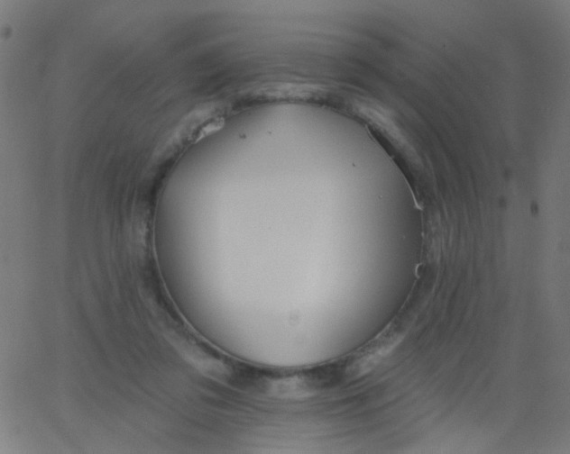 X0000067900309200604271859