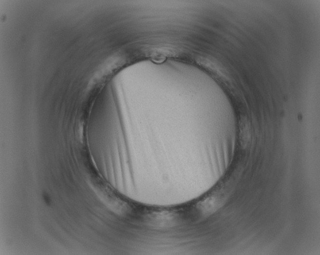 X0000067900310200604271859