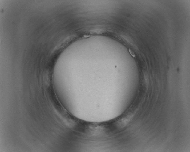 X0000067900311200604271859