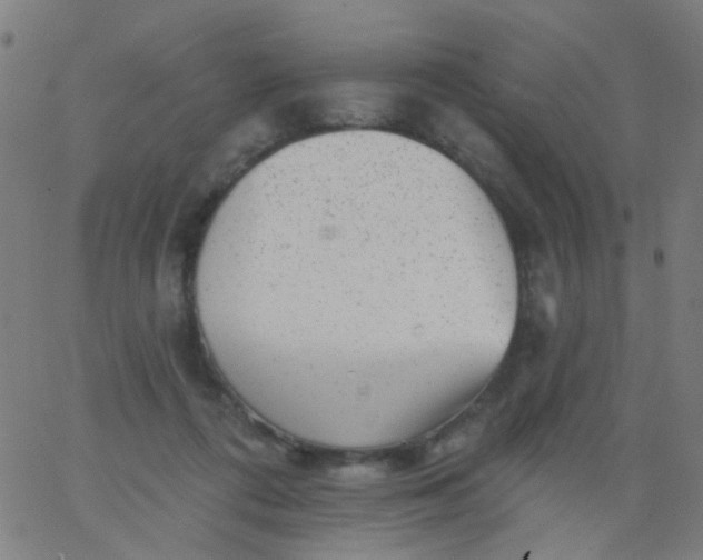 X0000067900312200604271859