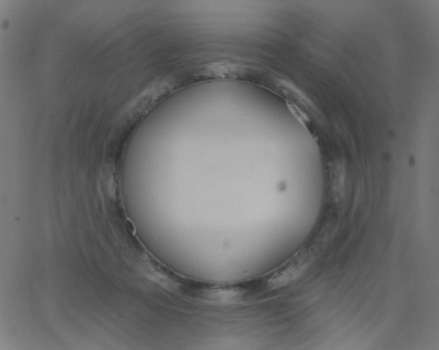 X0000067900313200604271859