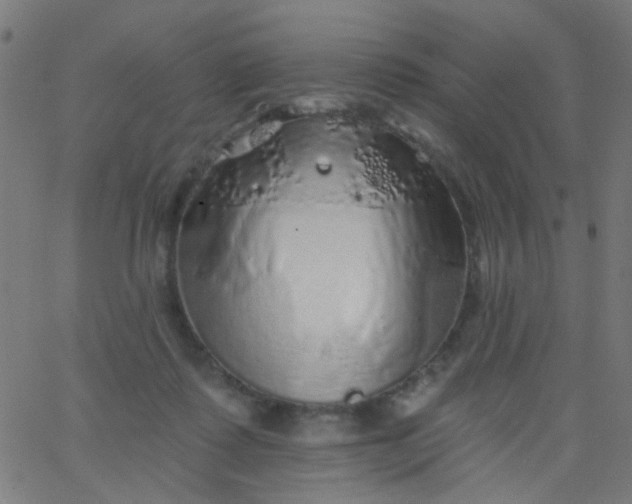 X0000067900315200604271859