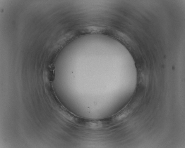 X0000067900317200604271859