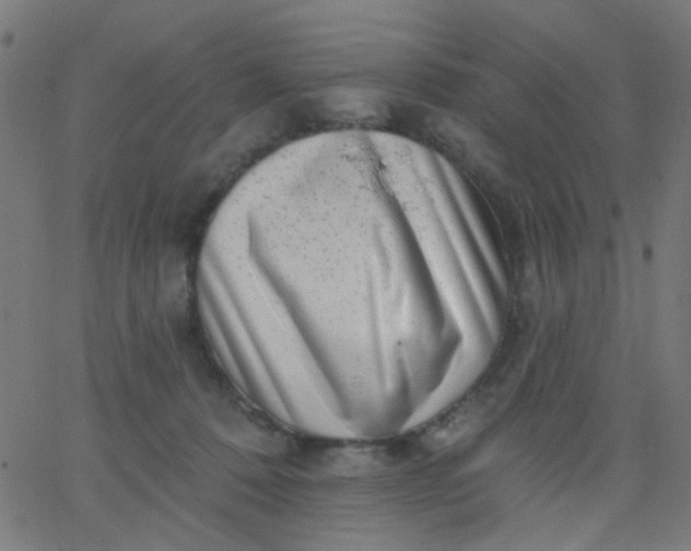 X0000067900320200604271859