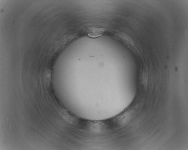 X0000067900321200604271859