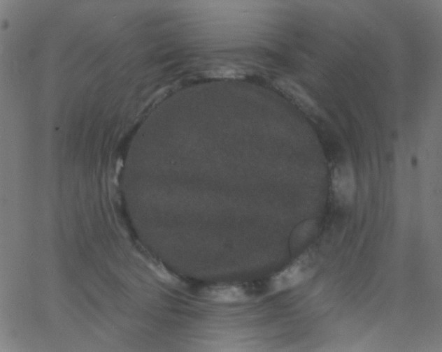 X0000067900322200604271859