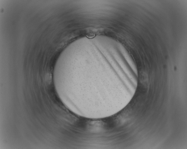 X0000067900324200604271859