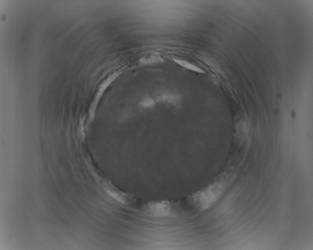 X0000067900325200604271859