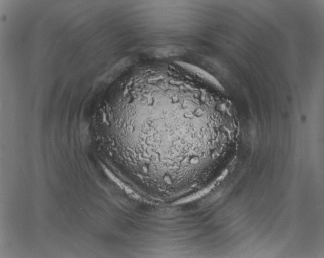 X0000067900327200604271859