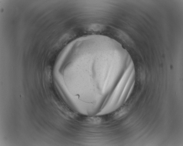 X0000067900328200604271859