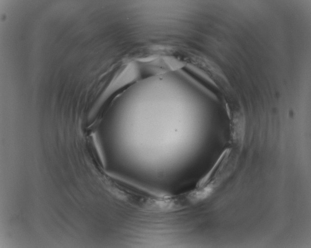 X0000067900329200604271859