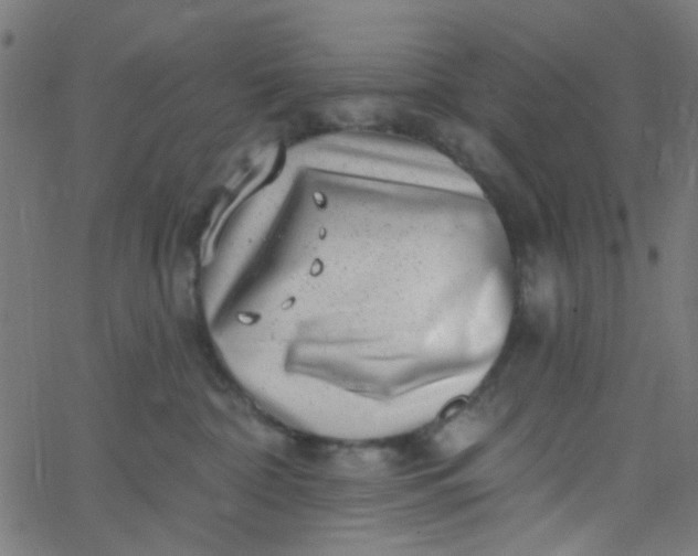 X0000067900332200604271859