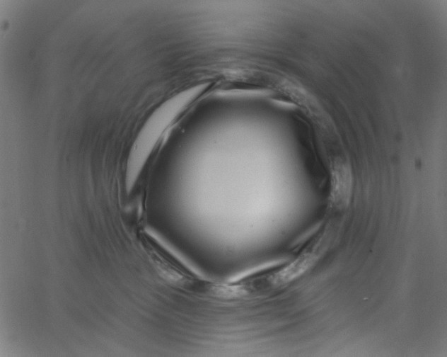 X0000067900333200604271859