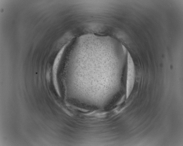 X0000067900334200604271859