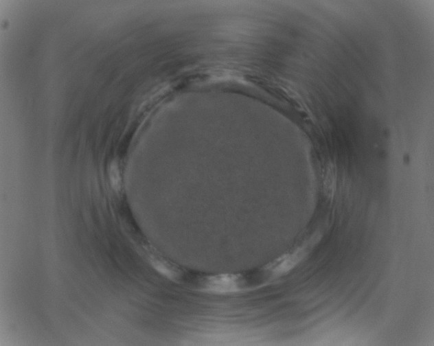 X0000067900335200604271859