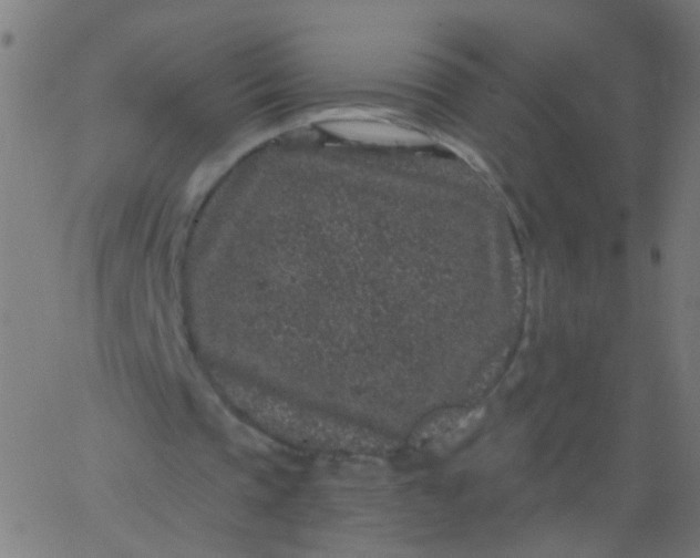 X0000067900337200604271858