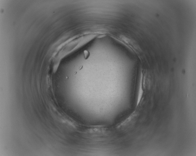 X0000067900338200604271858