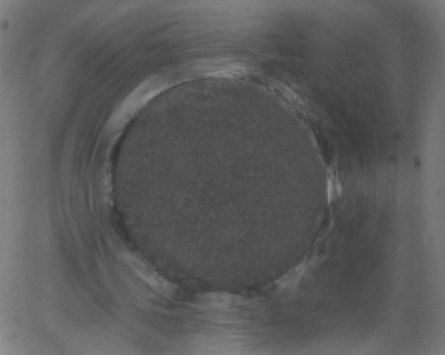 X0000067900339200604271858