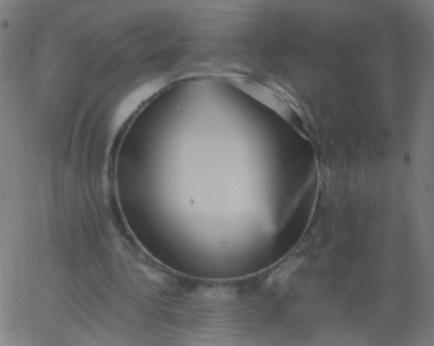 X0000067900340200604271858