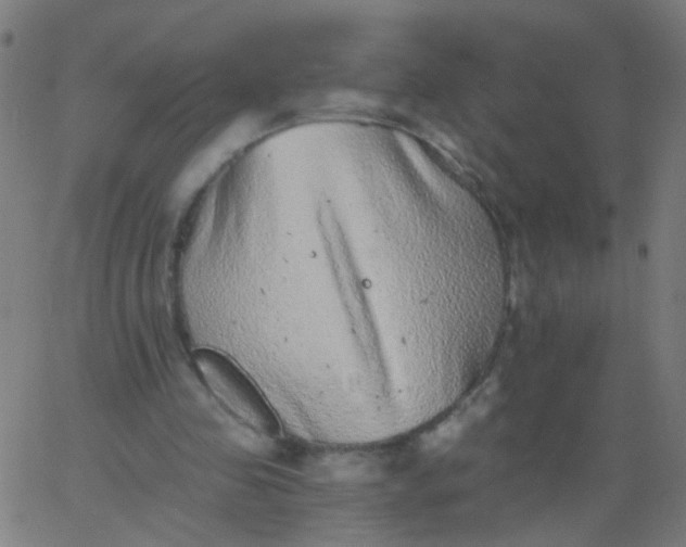 X0000067900341200604271858