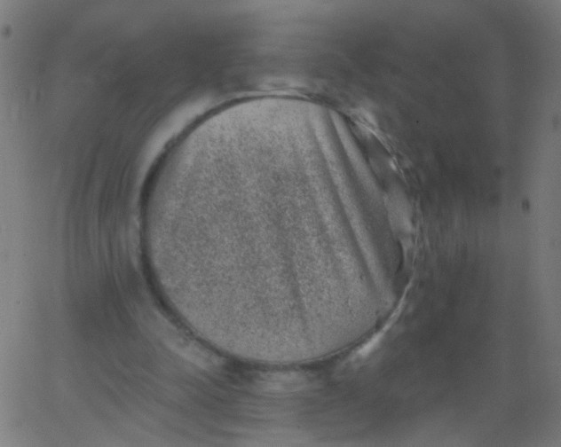 X0000067900342200604271858