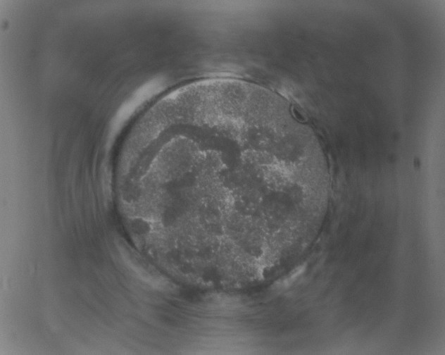 X0000067900343200604271858