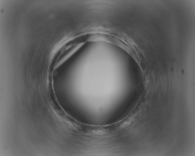 X0000067900344200604271858