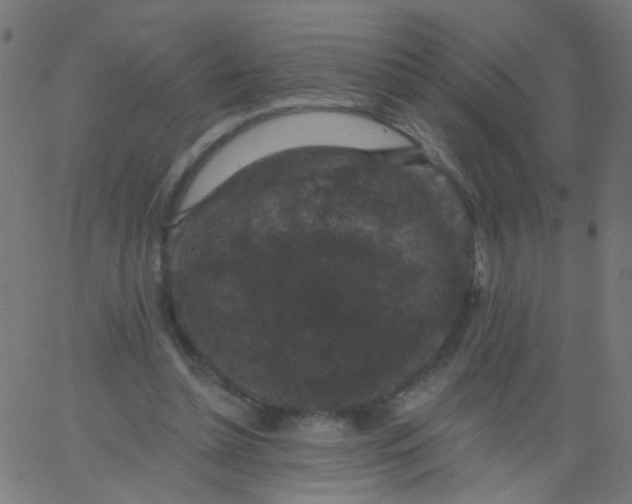 X0000067900348200604271858