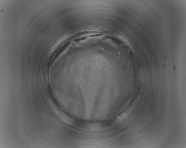 X0000067900349200604271858