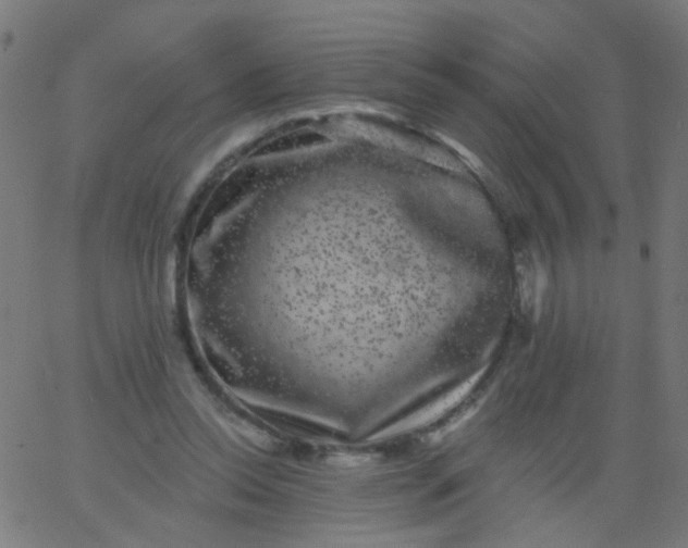 X0000067900350200604271858