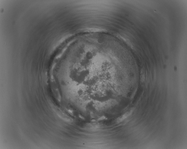 X0000067900351200604271858