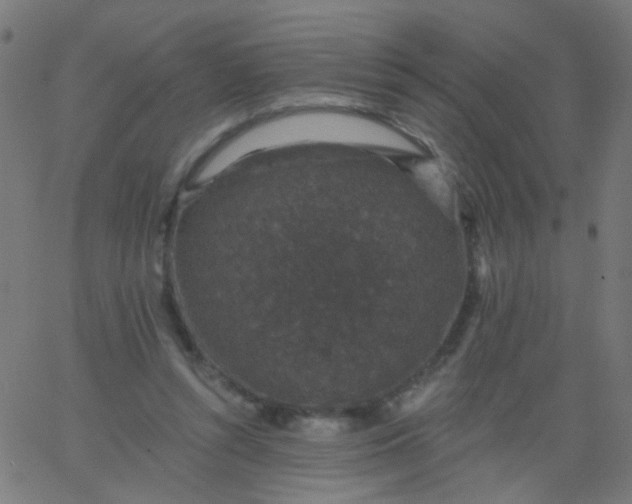 X0000067900352200604271858