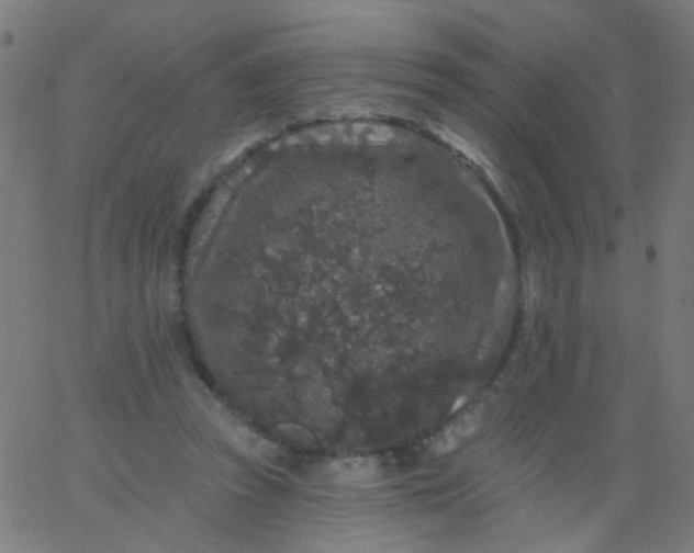 X0000067900353200604271858