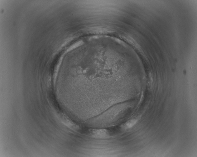 X0000067900355200604271858