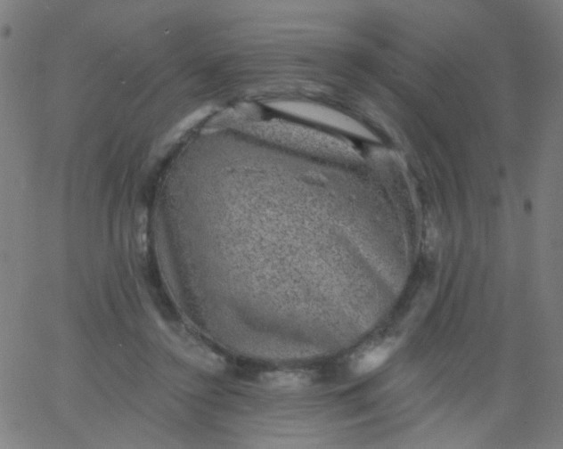 X0000067900356200604271858