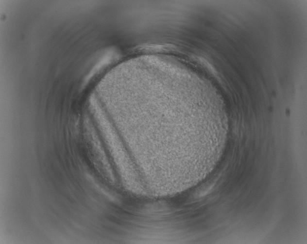 X0000067900357200604271858