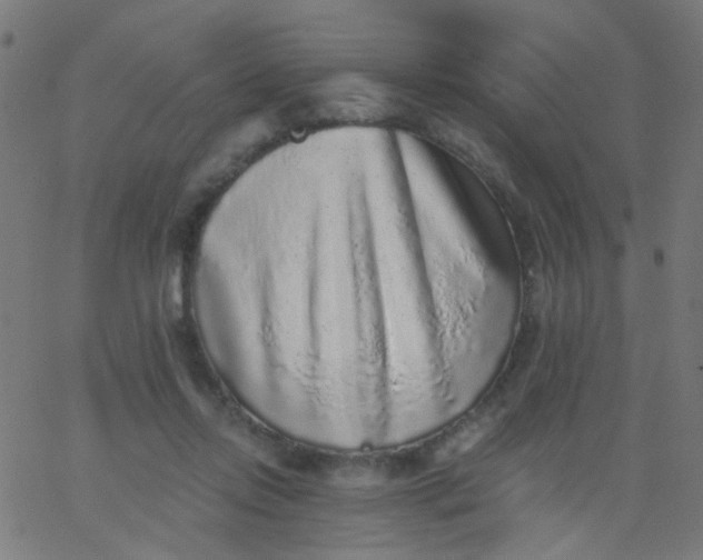 X0000067900358200604271858