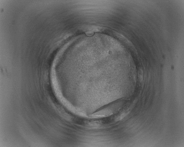 X0000067900359200604271858