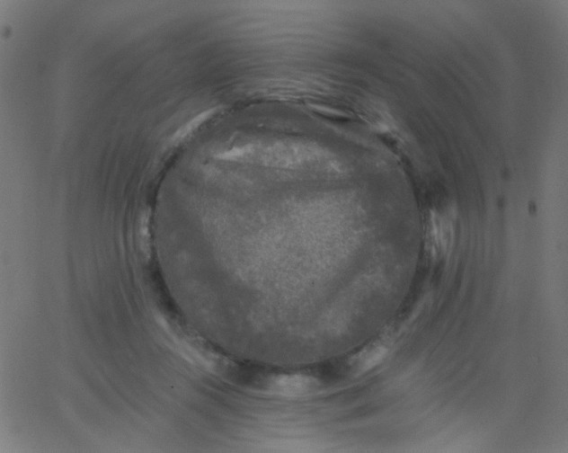 X0000067900360200604271858