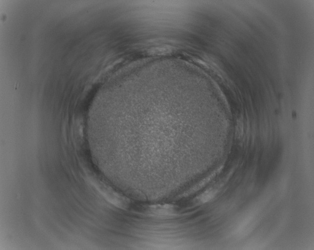 X0000067900363200604271858