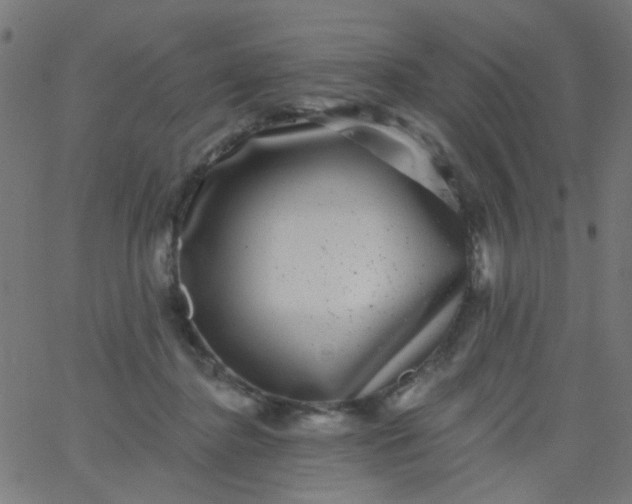 X0000067900364200604271858