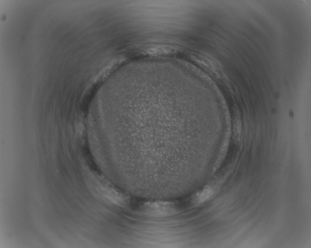 X0000067900367200604271858