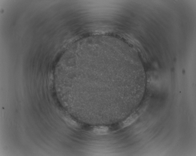 X0000067900369200604271858