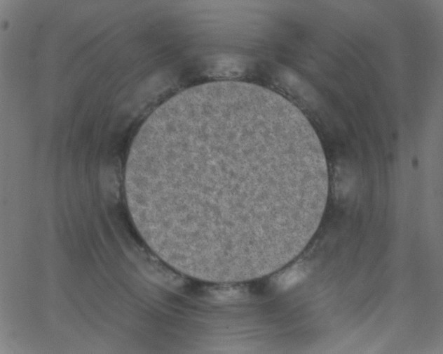 X0000067900370200604271858