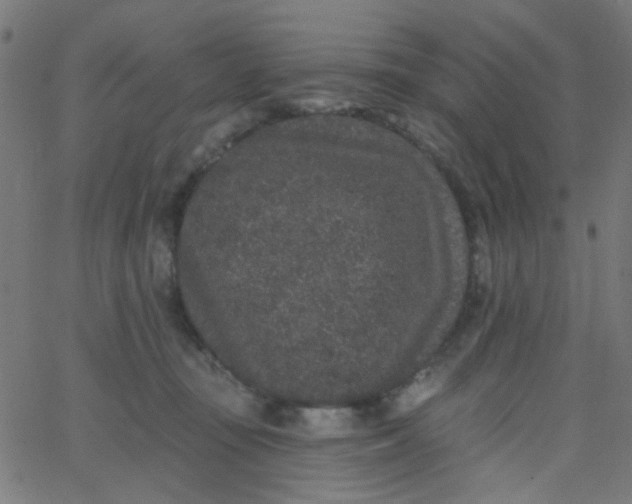 X0000067900371200604271858